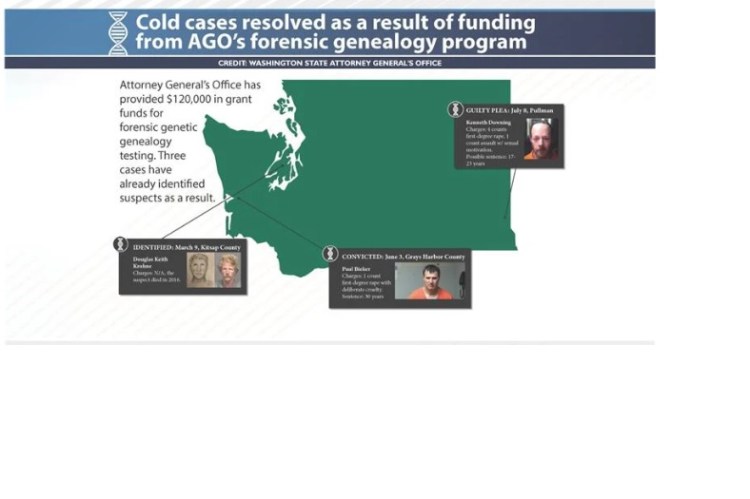 Forensic genetic genealogy cracking the code on cold cases – Vintage Dava